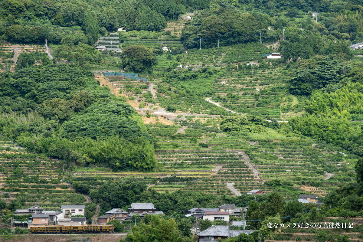 f:id:yuseiphotos:20210727012629j:plain