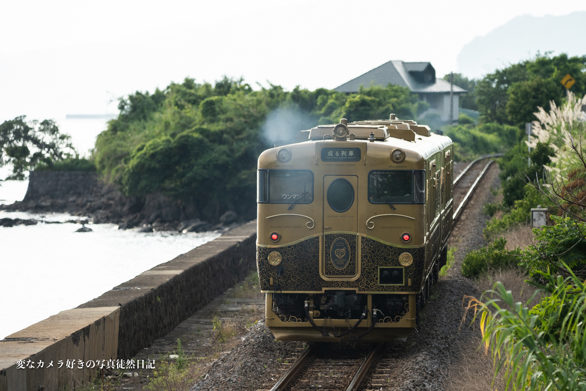 f:id:yuseiphotos:20210727013010j:plain