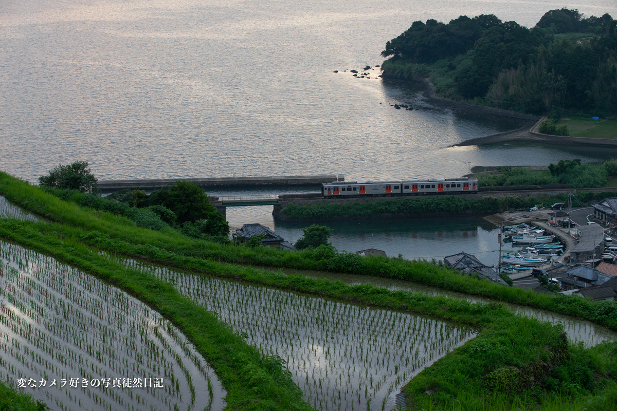 f:id:yuseiphotos:20210728200525j:plain