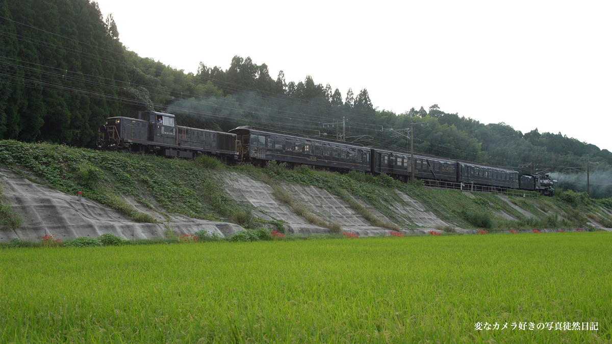 f:id:yuseiphotos:20211005014618j:plain