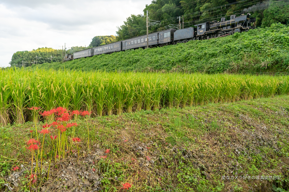 f:id:yuseiphotos:20211005014639j:plain