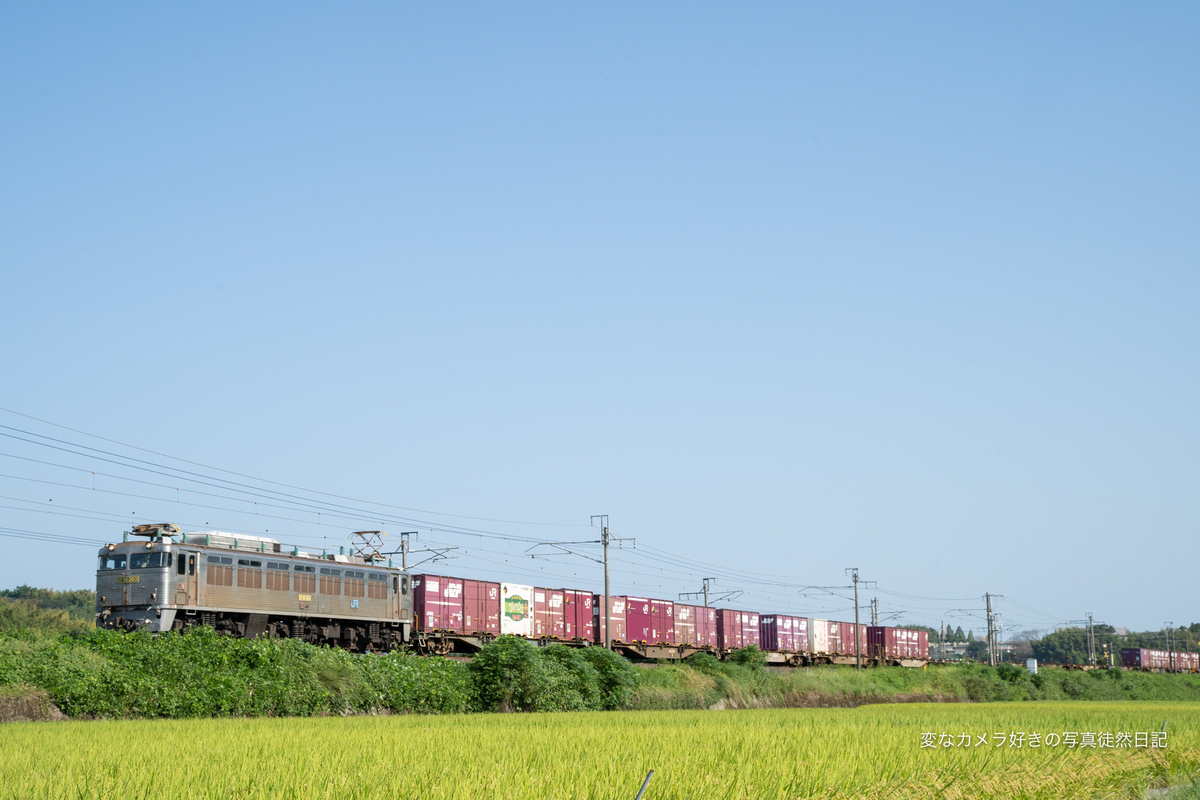 f:id:yuseiphotos:20211009025623j:plain