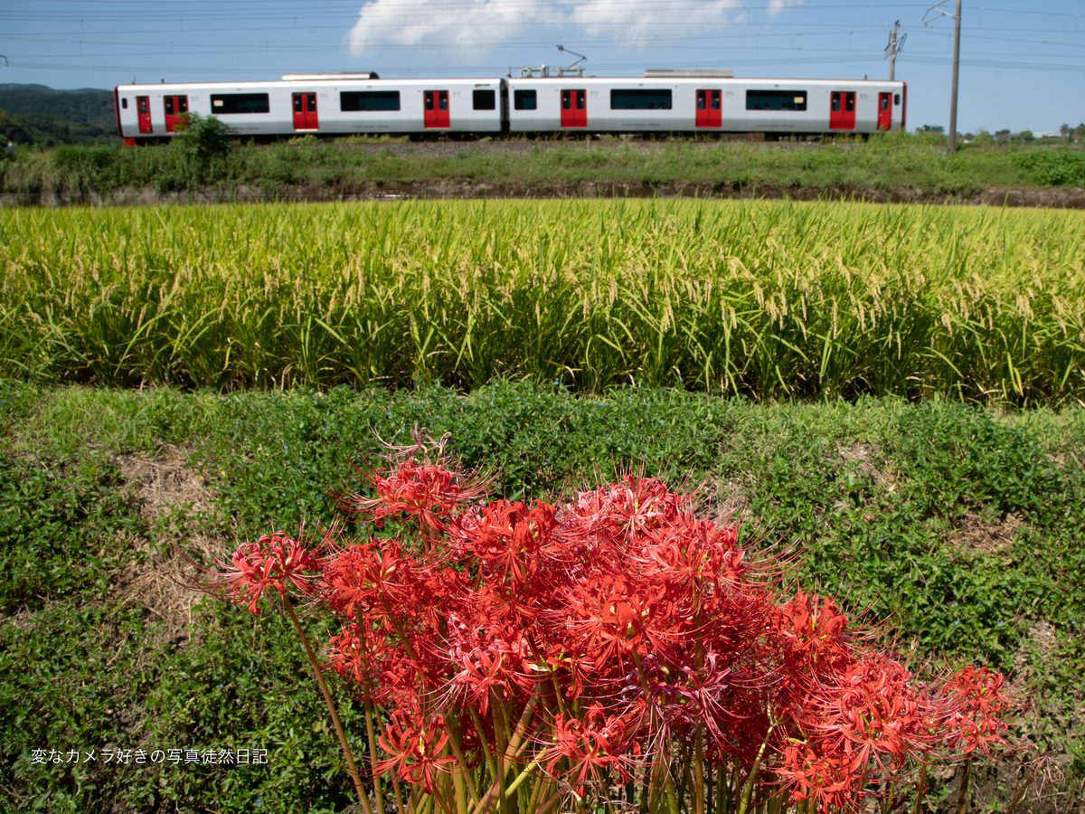 f:id:yuseiphotos:20211009025633j:plain