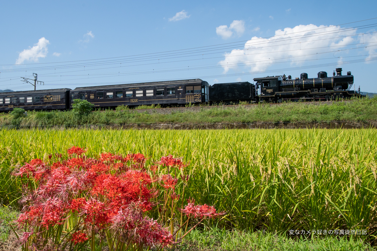 f:id:yuseiphotos:20211009025642j:plain