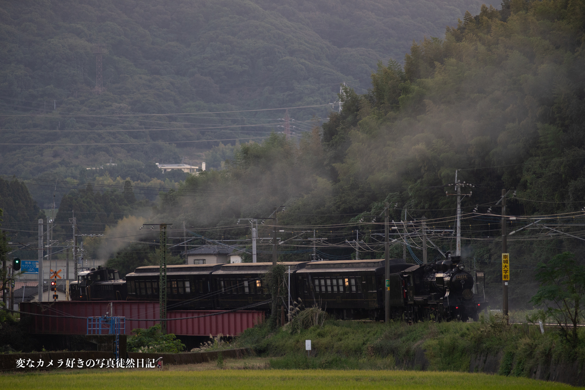 f:id:yuseiphotos:20211024094953j:plain
