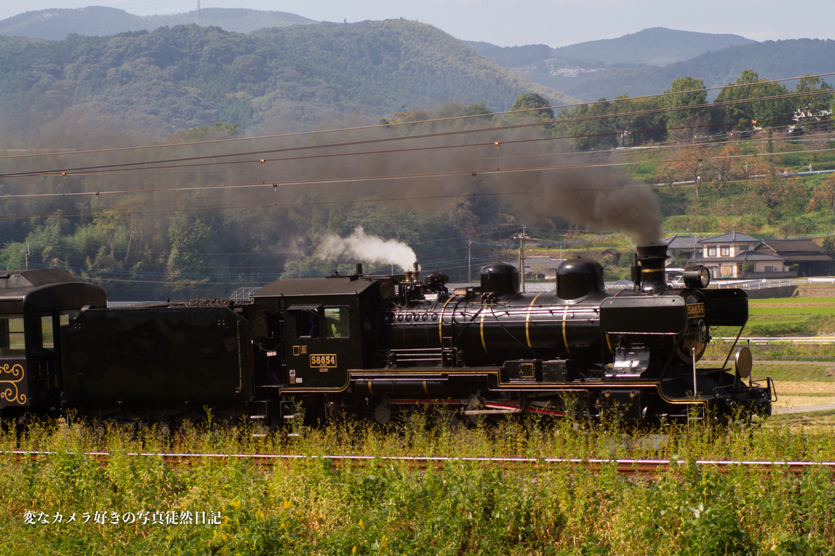 f:id:yuseiphotos:20211029200511j:plain