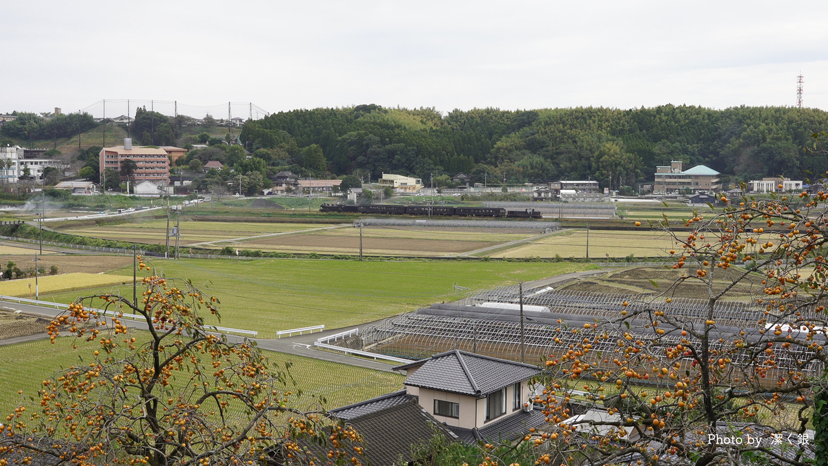 f:id:yuseiphotos:20211110194500j:plain