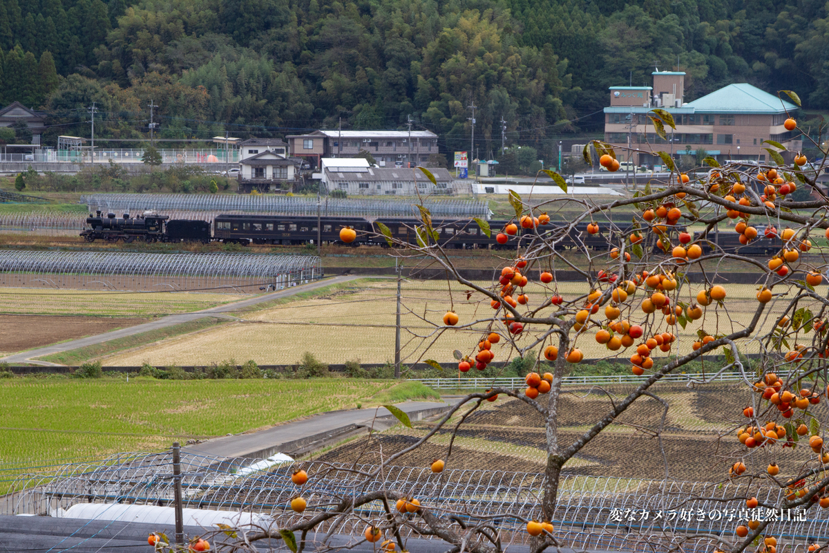 f:id:yuseiphotos:20211110194529j:plain