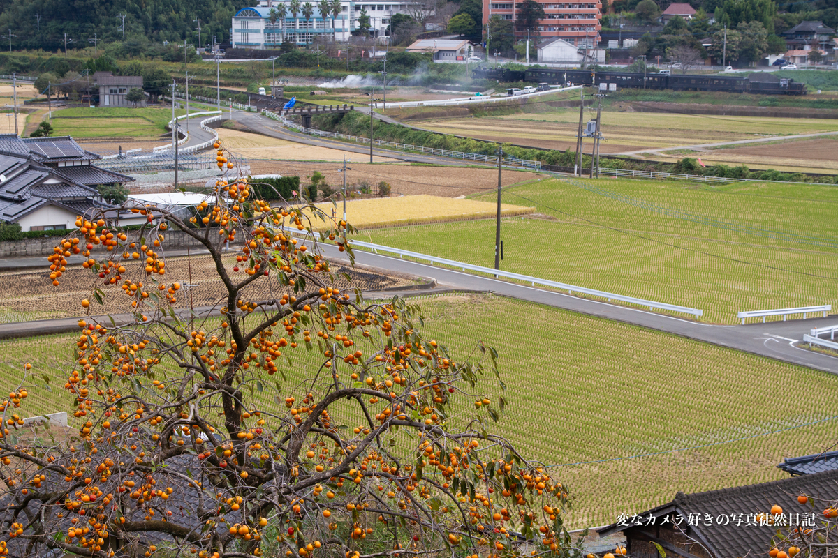 f:id:yuseiphotos:20211110194538j:plain