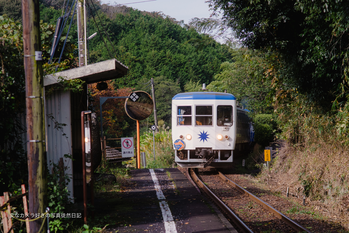 f:id:yuseiphotos:20211121183751j:plain