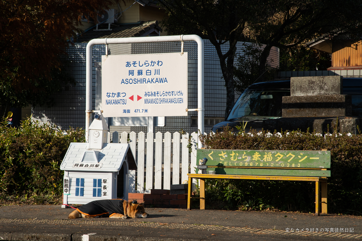 f:id:yuseiphotos:20211218094927j:plain