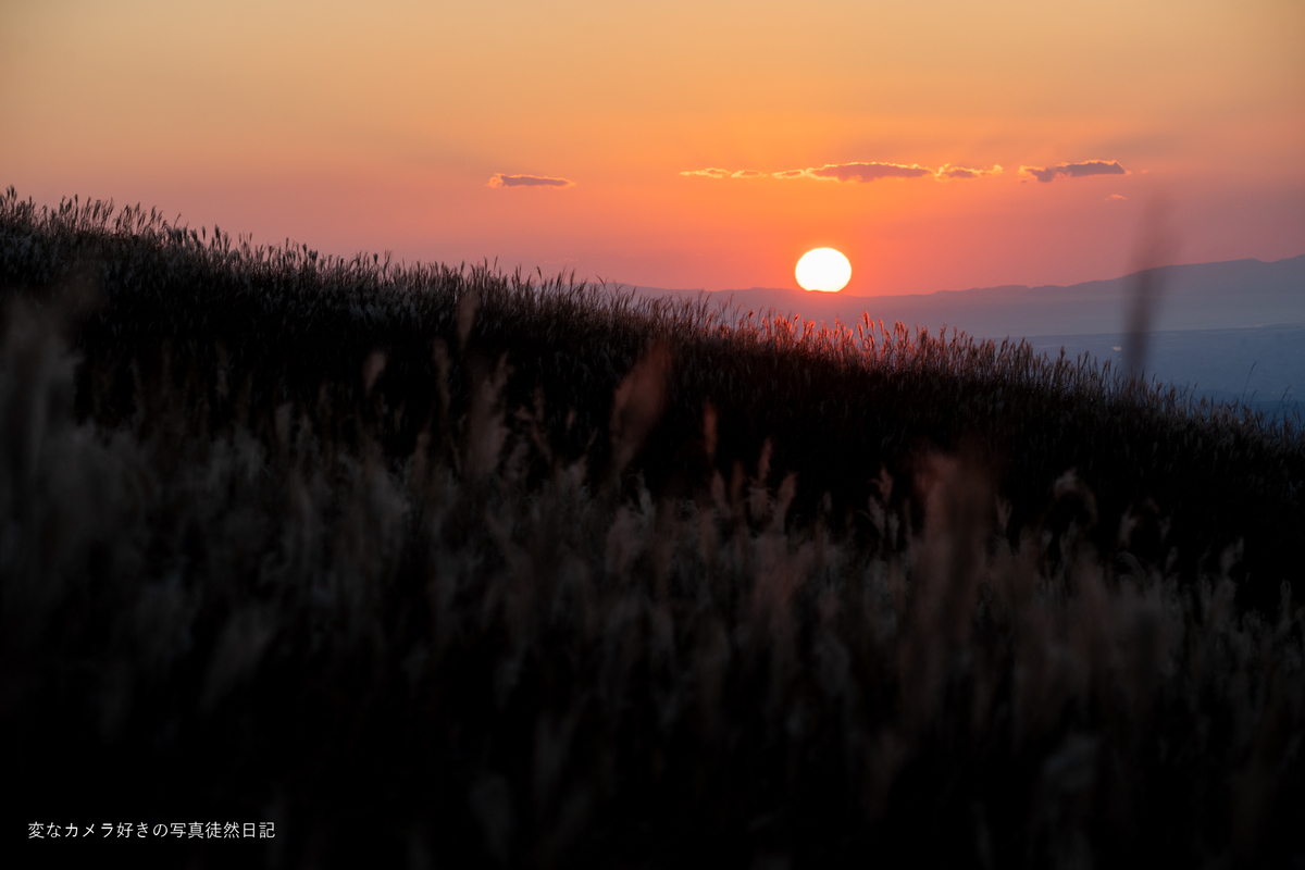 f:id:yuseiphotos:20211221231019j:plain