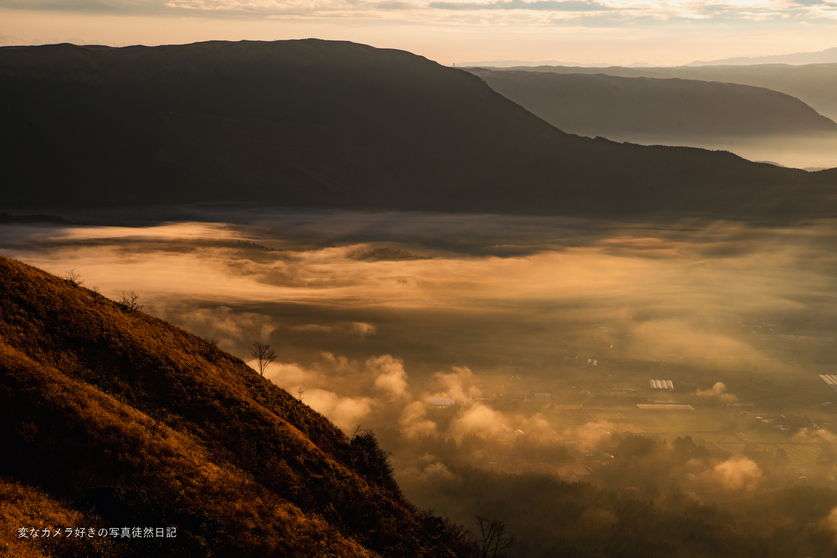 f:id:yuseiphotos:20220105232432j:plain