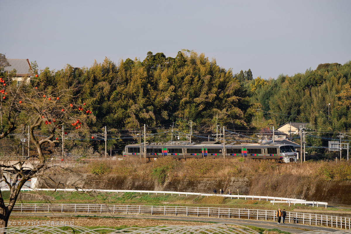 f:id:yuseiphotos:20220114010228j:plain