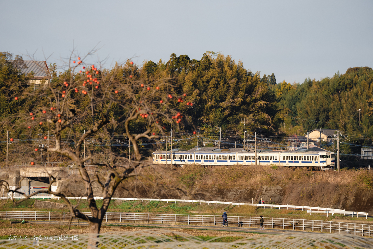 f:id:yuseiphotos:20220114010254j:plain