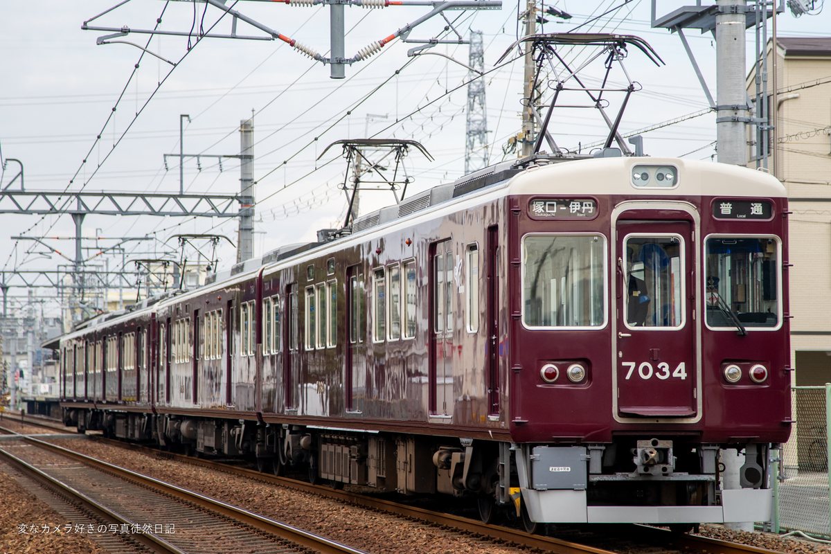 f:id:yuseiphotos:20220117015758j:plain