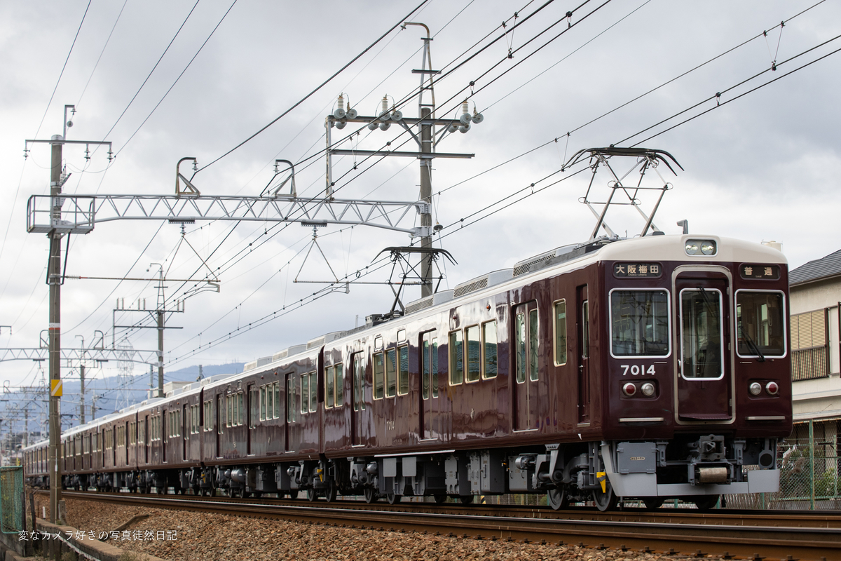 f:id:yuseiphotos:20220202004049j:plain