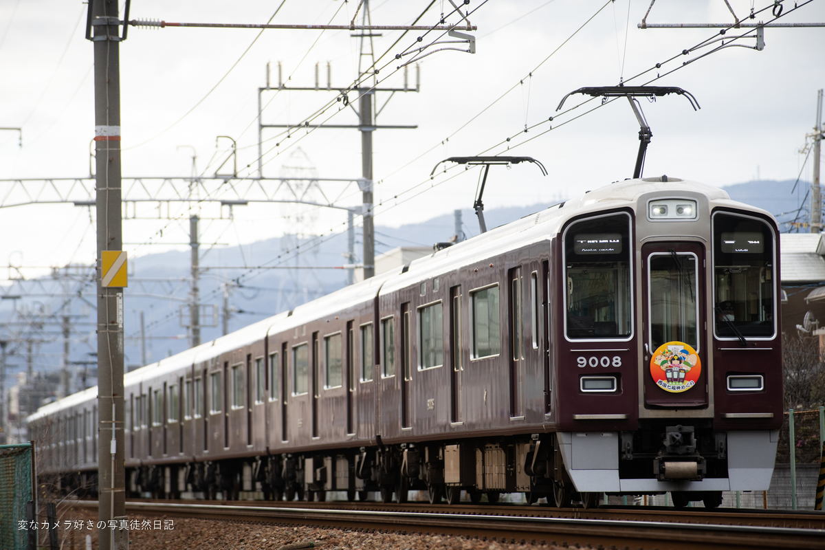 f:id:yuseiphotos:20220202004118j:plain