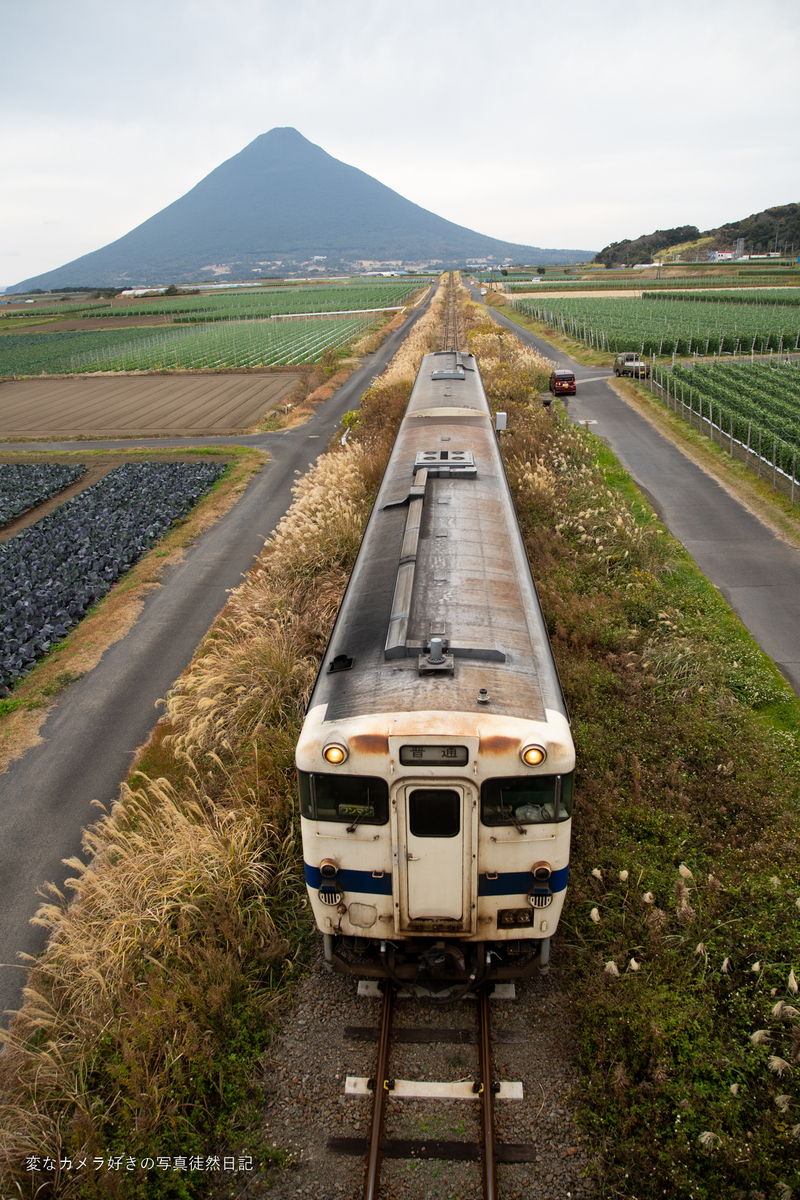 f:id:yuseiphotos:20220206010938j:plain