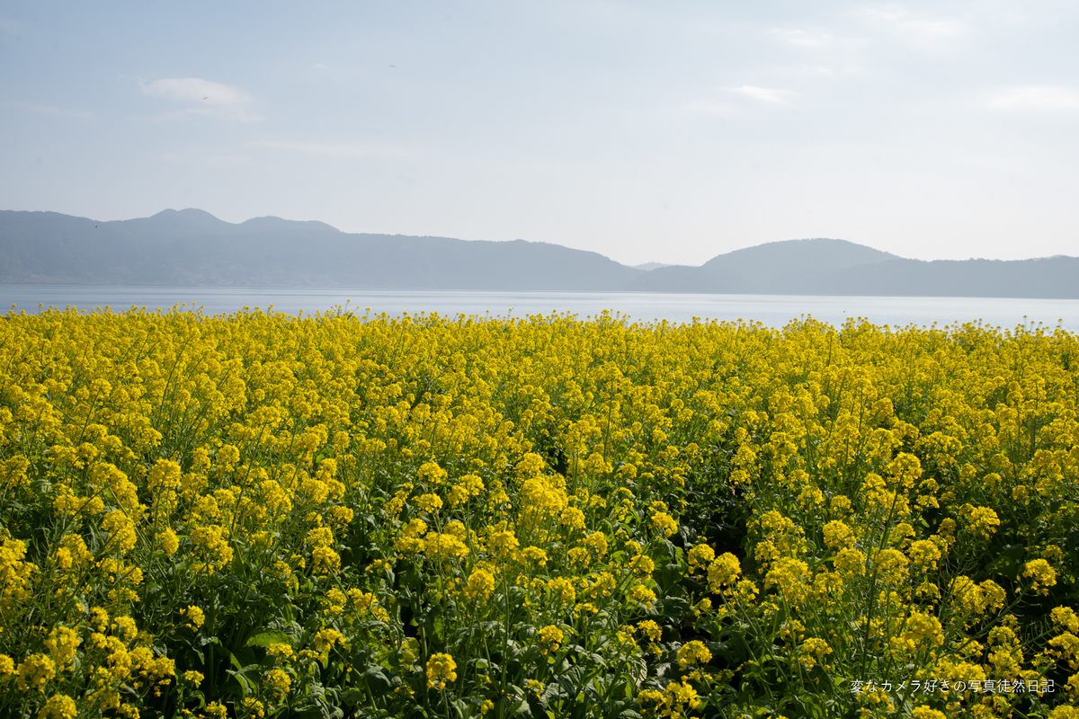 f:id:yuseiphotos:20220209014136j:plain