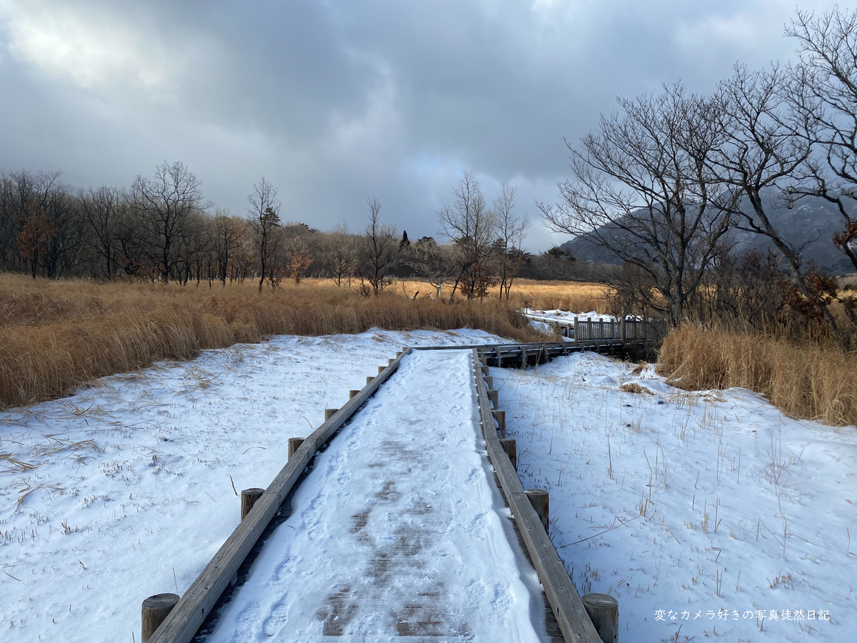 f:id:yuseiphotos:20220301014154j:plain