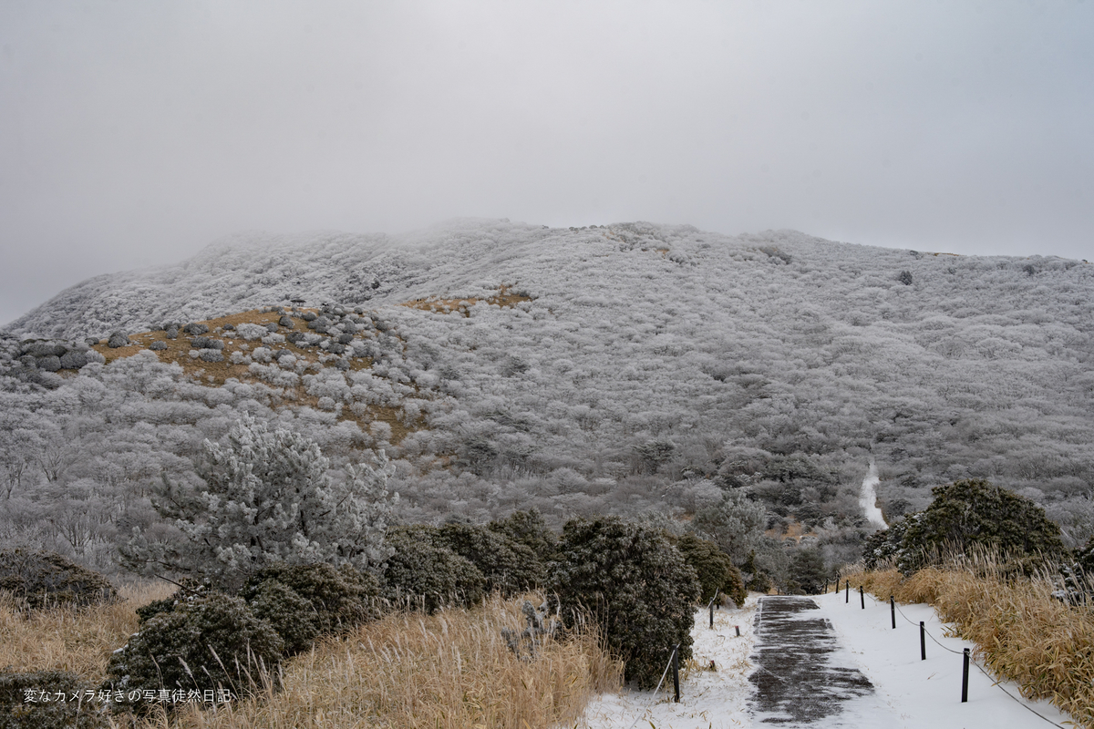 f:id:yuseiphotos:20220301014233j:plain