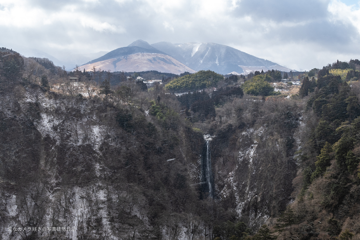 f:id:yuseiphotos:20220306020232j:plain