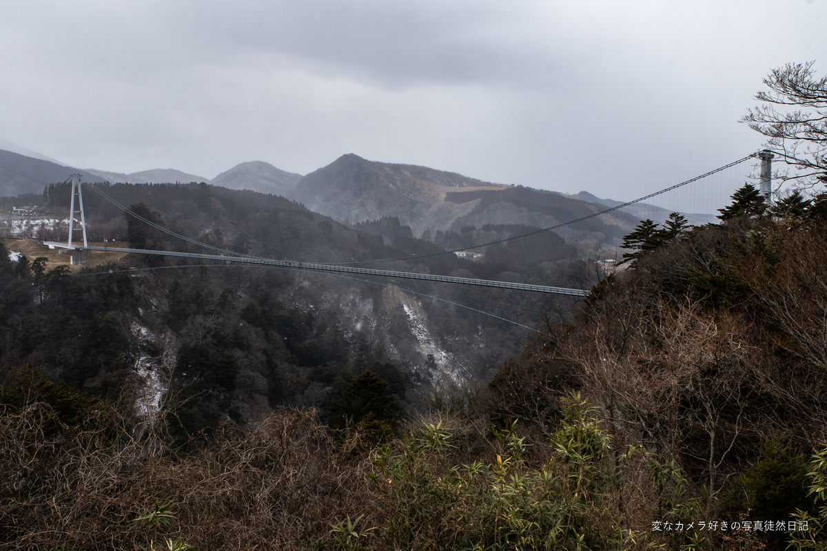 f:id:yuseiphotos:20220306020239j:plain