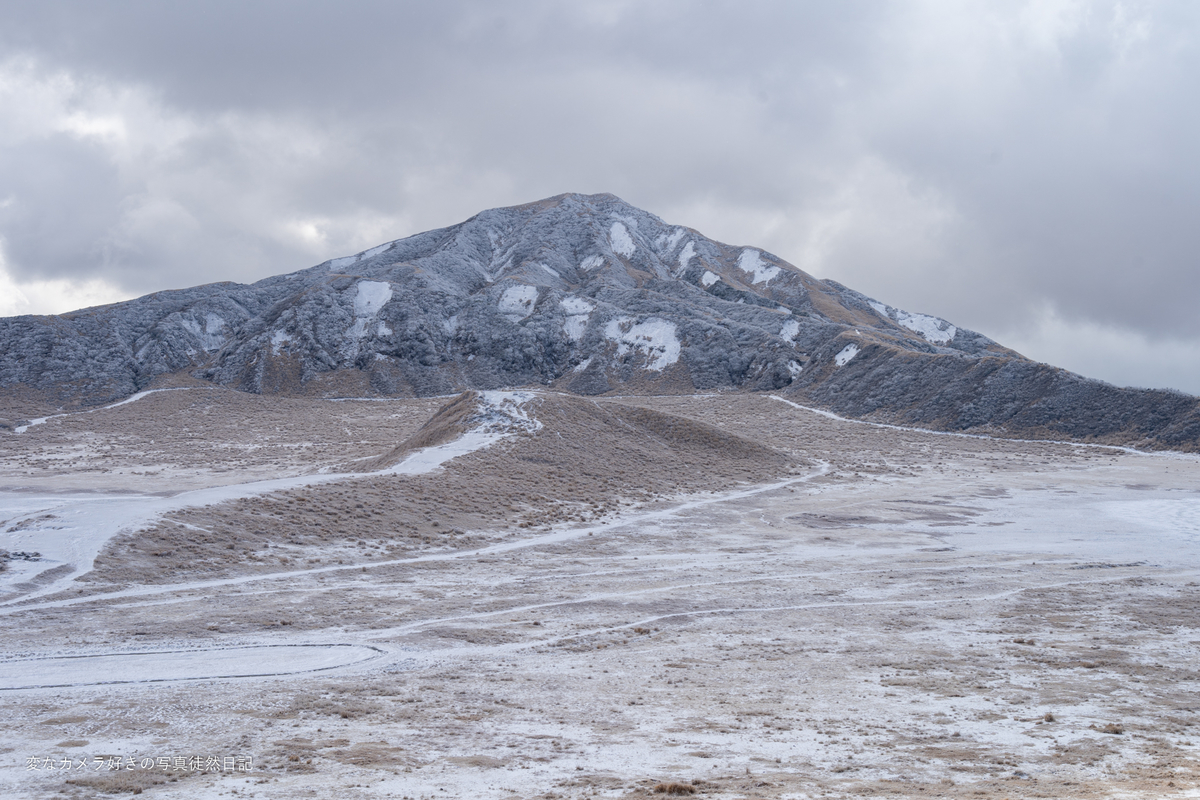 f:id:yuseiphotos:20220320035518j:plain