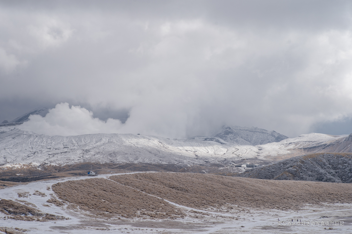 f:id:yuseiphotos:20220320035529j:plain