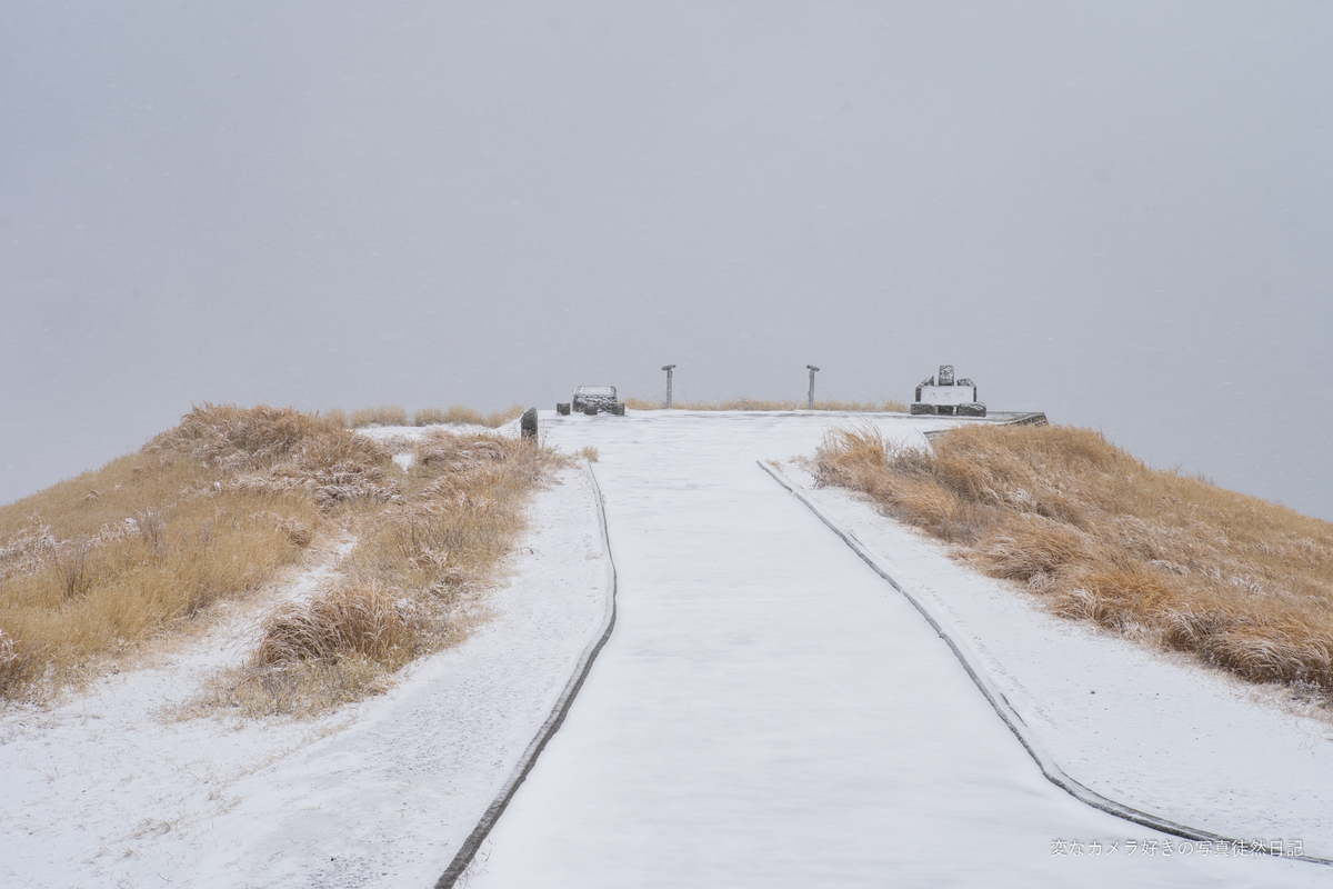 f:id:yuseiphotos:20220320035749j:plain