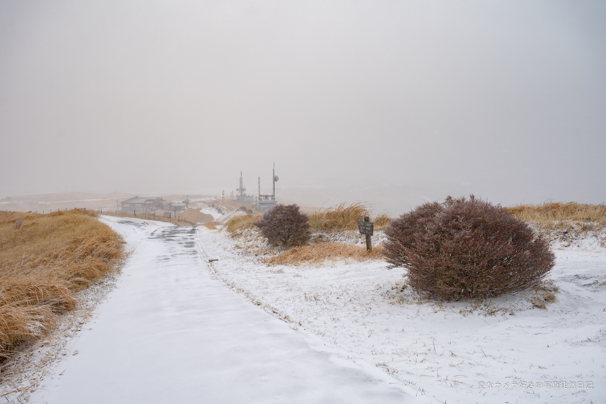 f:id:yuseiphotos:20220320035904j:plain