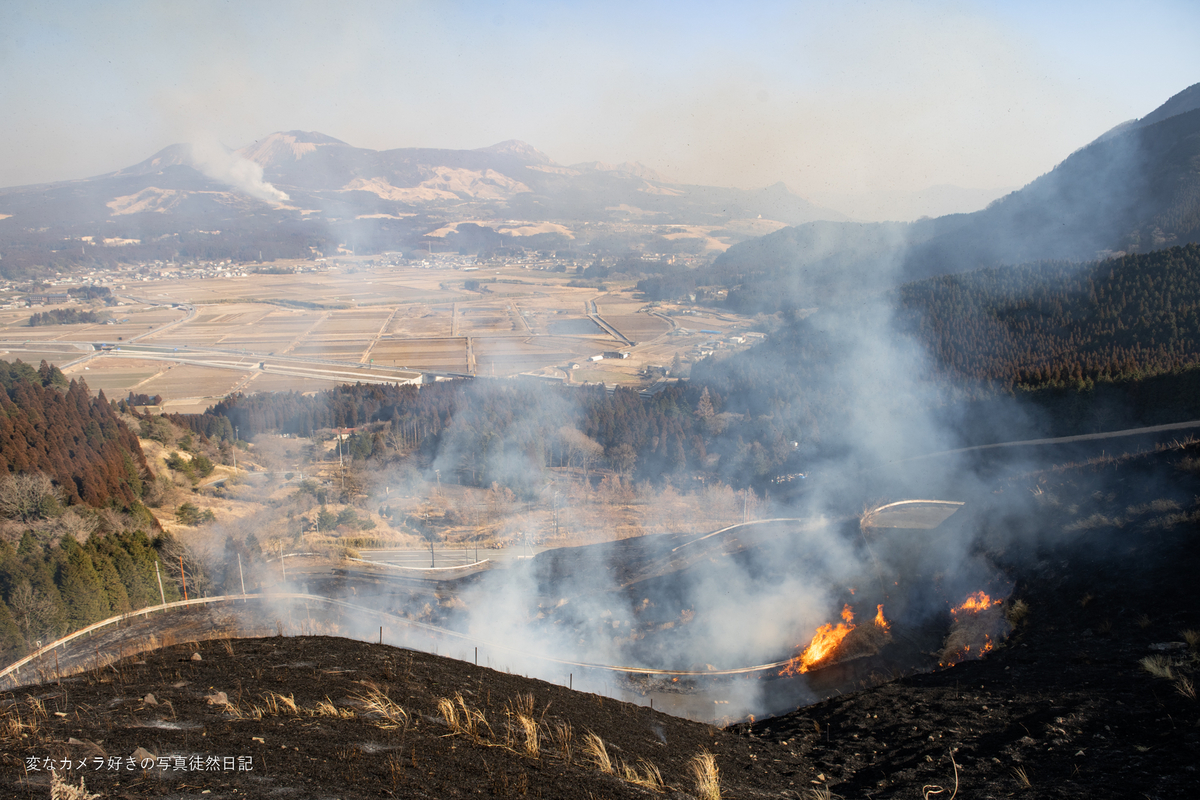 f:id:yuseiphotos:20220331220048j:plain