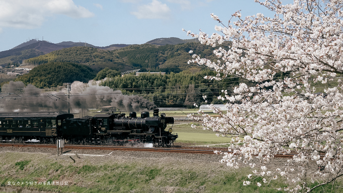 f:id:yuseiphotos:20220417010925j:plain