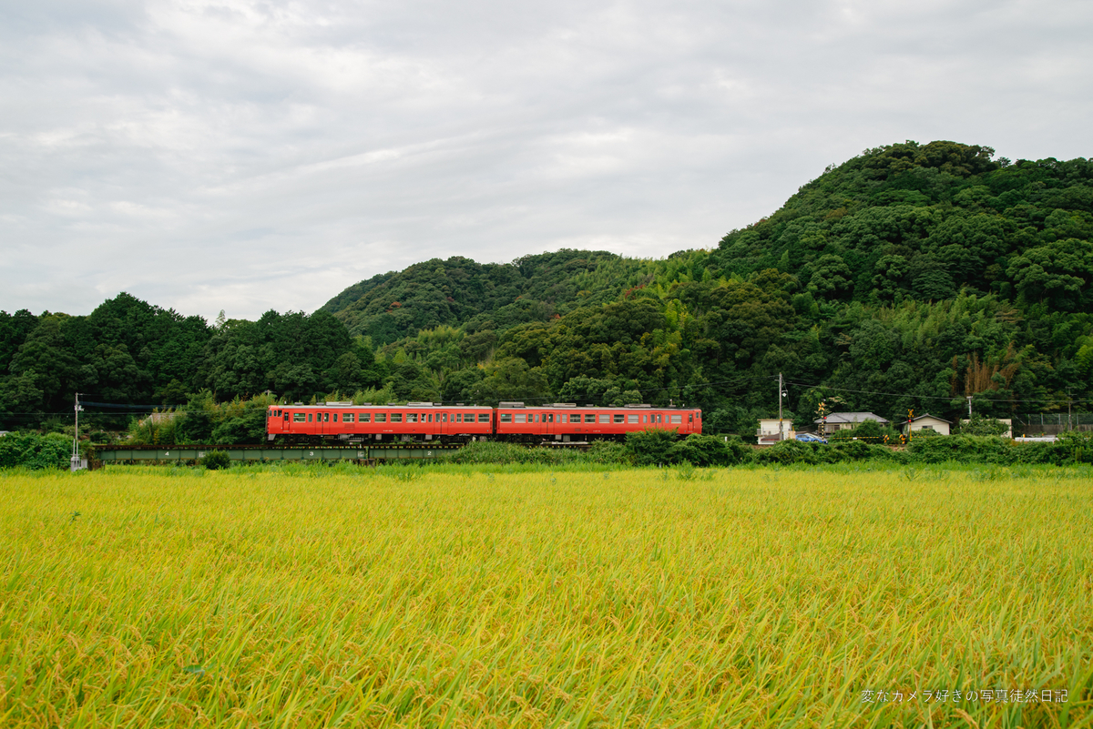 2022/08/12 牟岐線の列車を撮影する - 変なカメラ好きの写真徒然日記