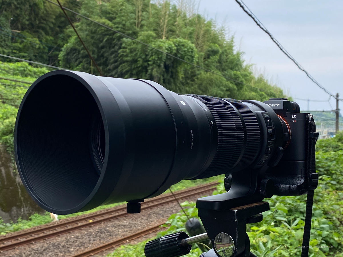 SIGMA 120-300mm F2.8 DG OS HSM Sportsを購入する。 - 変な SIGMA 120-300mm F2.8 DG OS HSM Sportsを購入する。 - 変な
