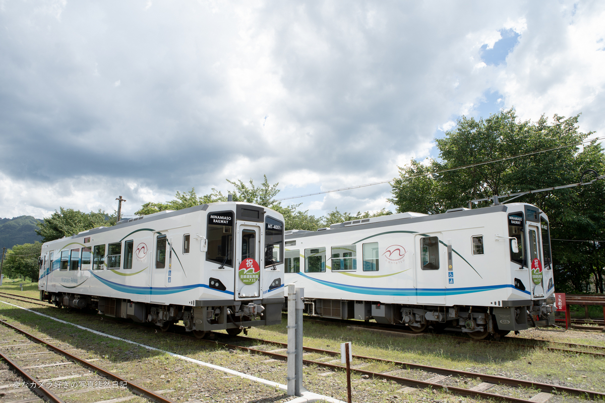 蘇鉄　高さ71cm 直径27cm 蘇鉄 高さ71cm 直径27cm 蘇鉄 高さ71cm 直径27cm