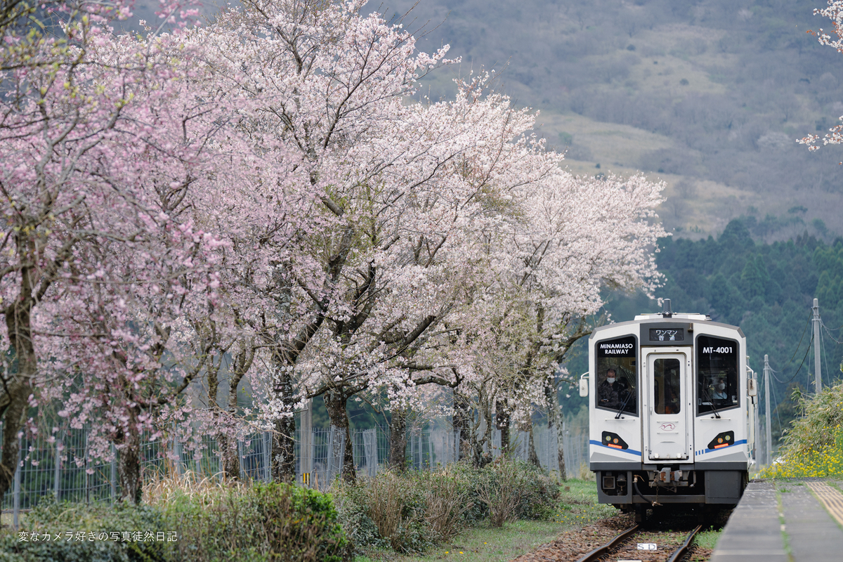 2023/03/31 南阿蘇鉄道 サニー号トレインとトロッコ列車の併結運用を