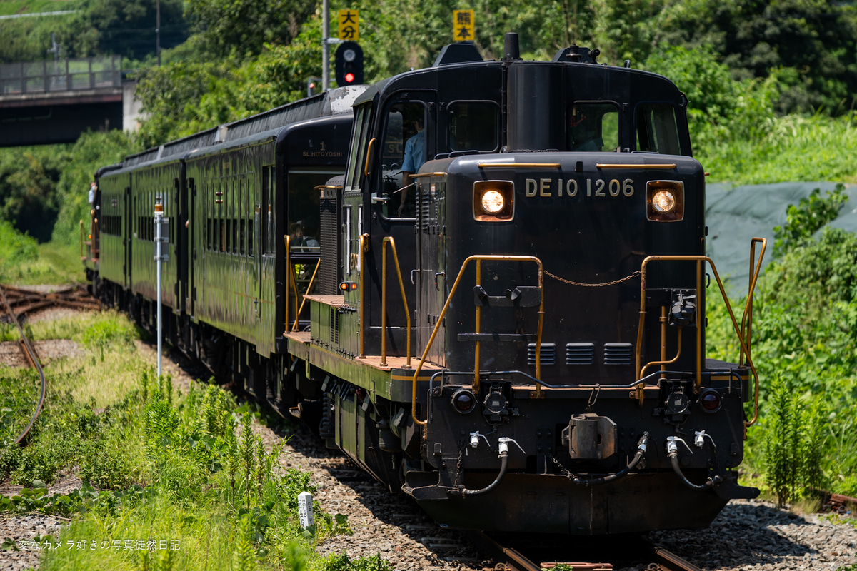 蘇鉄 2024/08/11 「快速あそ」を阿蘇の景色ともに撮る - 変なカメラ好きの