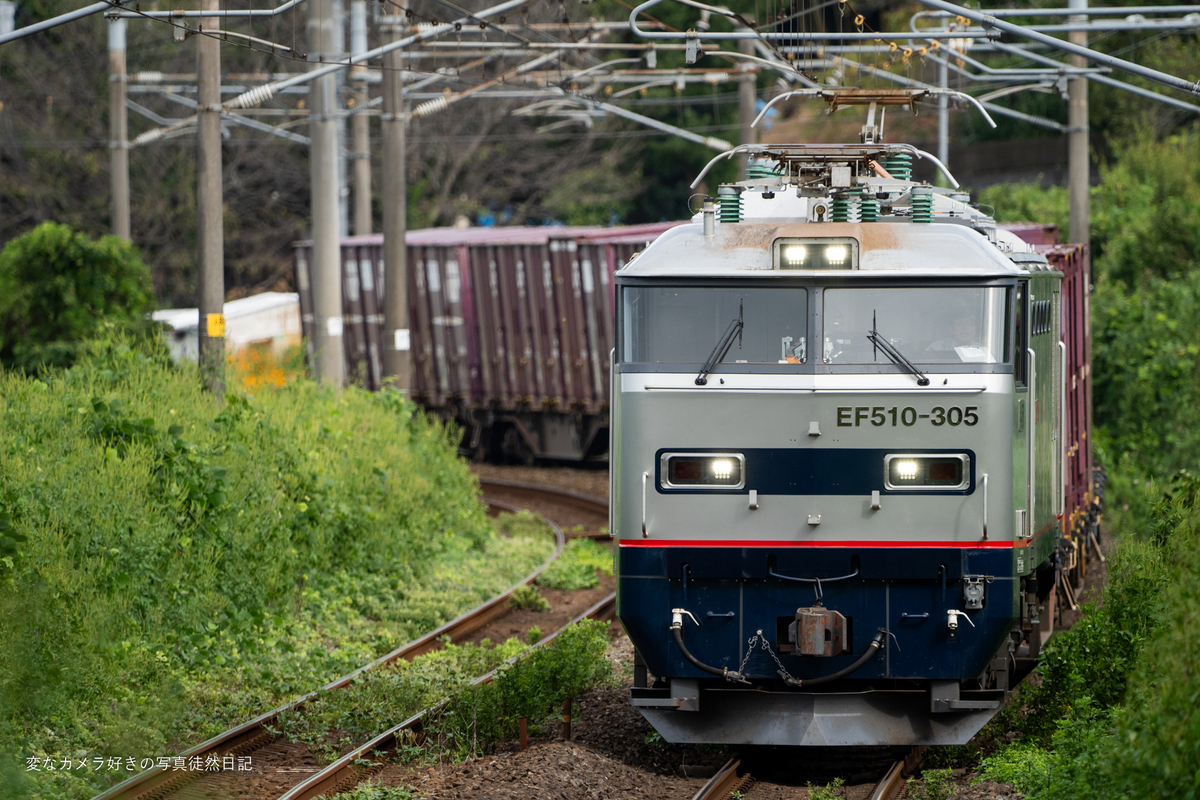 2024/09/25 鹿児島本線を走る車両を撮る - 変なカメラ好きの写真徒然日記