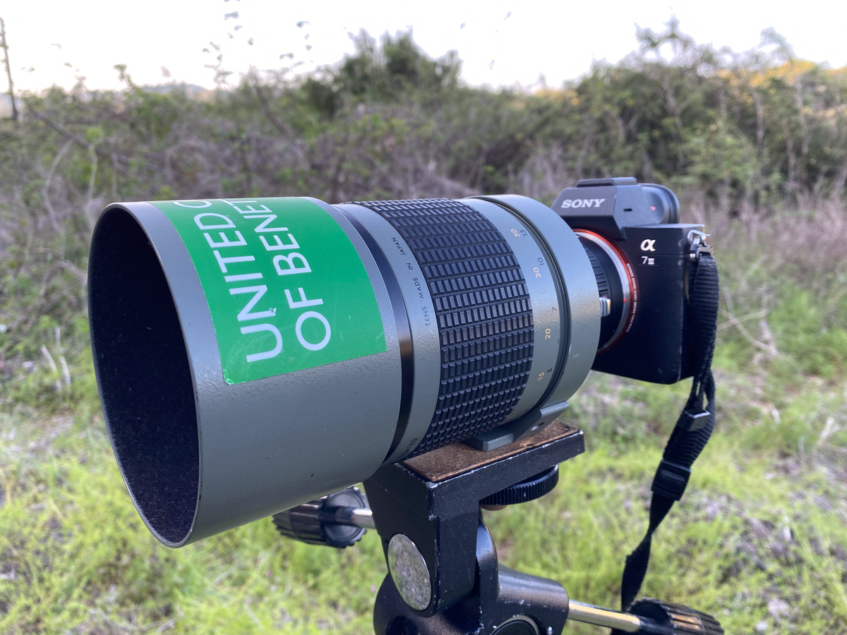 SIGMA MIRROR-TELEPHOTO 600mm F8　ミラーレンズ SIGMA MIRROR TELEPHOTO 600mm F8を購入する - 変なカメラ好きの写真