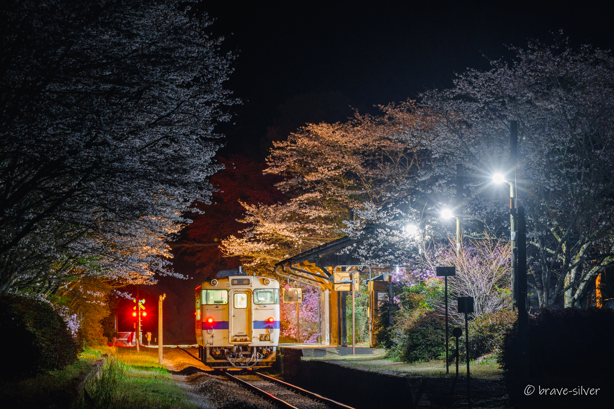 2025/04/04 桜が満開の嘉例川と国鉄型気動車を記録する。夜編 - 変な