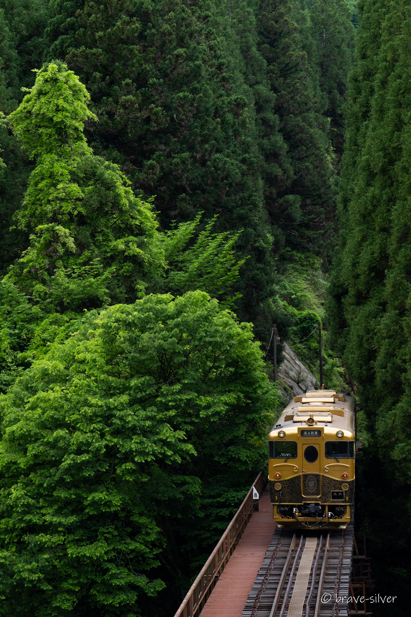 2025/05/05 山間を抜ける或る列車 - 潔く銀の鉄道写真館