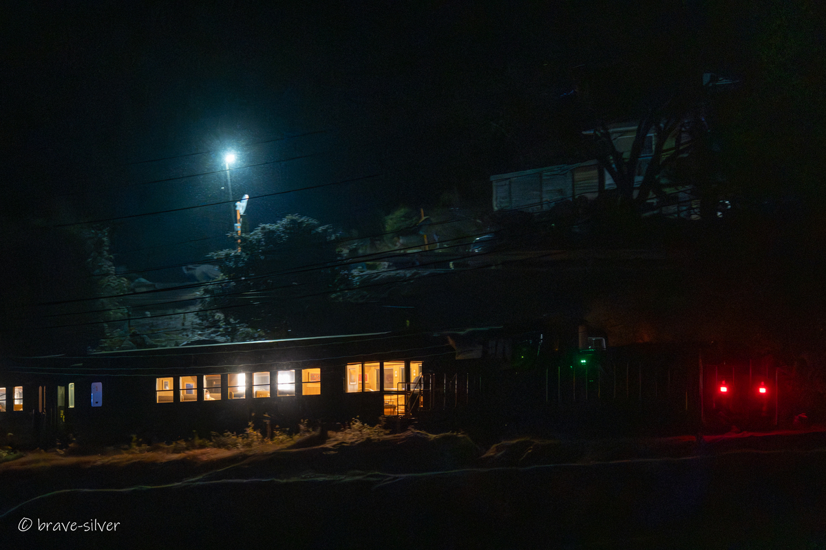 2026/01/24 雪舞う阿蘇を走る50系夜行団臨を撮る - 潔く銀の鉄道写真館