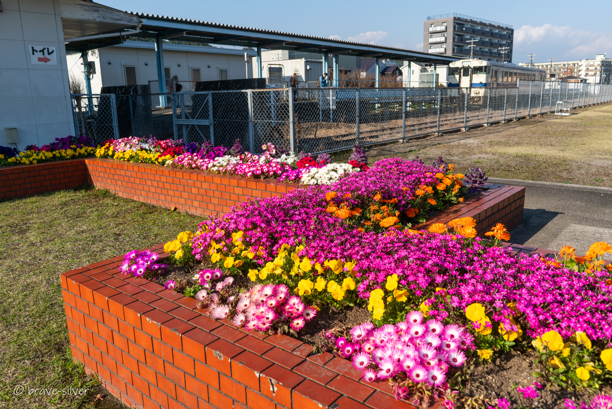 2026/03/20 志布志駅で撮り鉄しながら観光する。 - 変なカメラ好きの