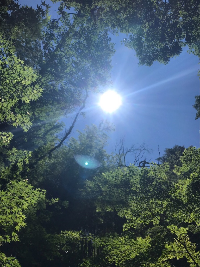 f:id:yush_91752:20190628234750j:image f:id:yush_91752:20190628234750j:image