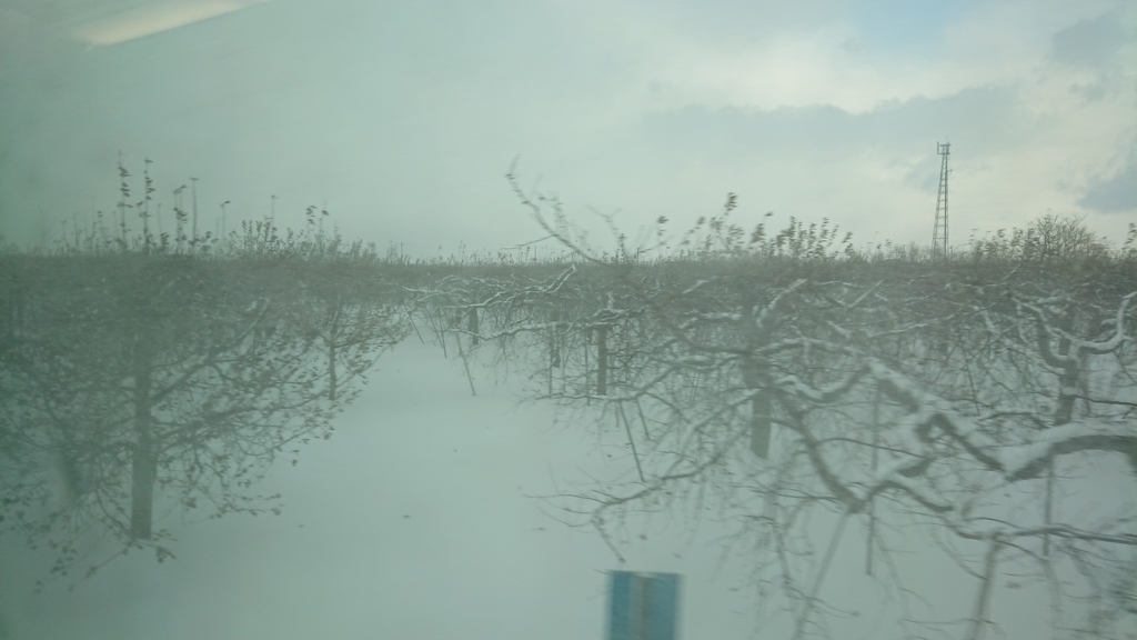 f:id:yusiki:20190108233709j:plain