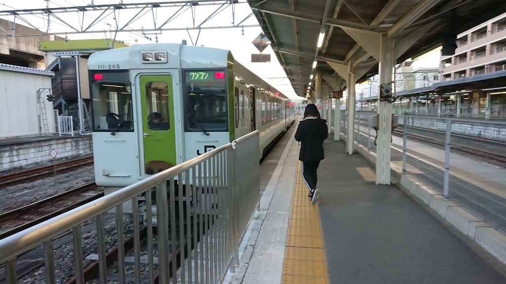f:id:yusiki:20190109232728j:plain