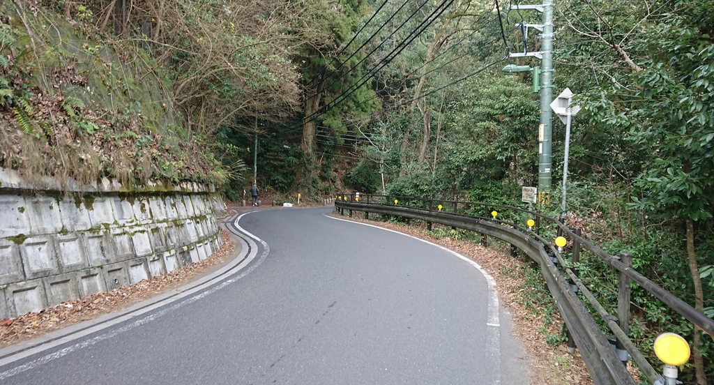 f:id:yusiki:20190118215615j:plain