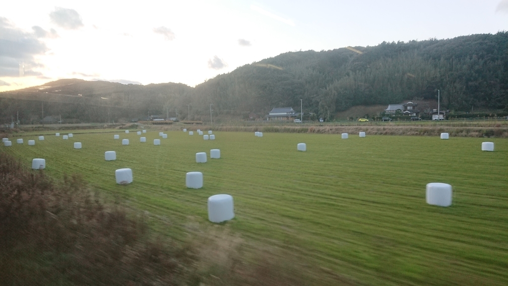 f:id:yusiki:20190118221924j:plain